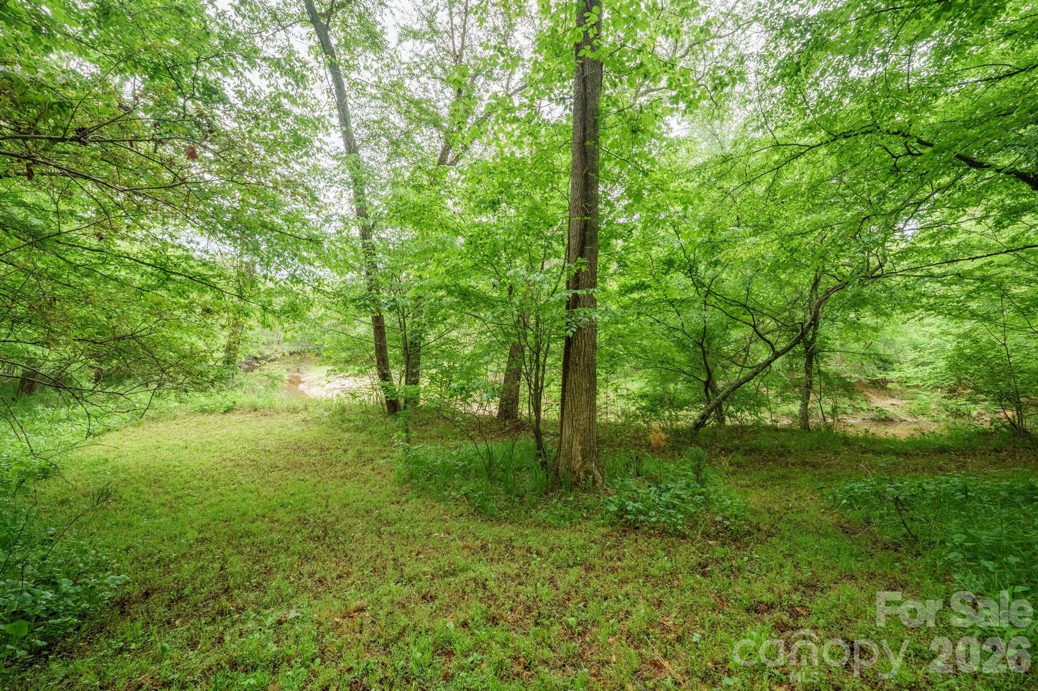 2517 Horseshoe Road Westfield, NC 27053 - Photo 37 of 45