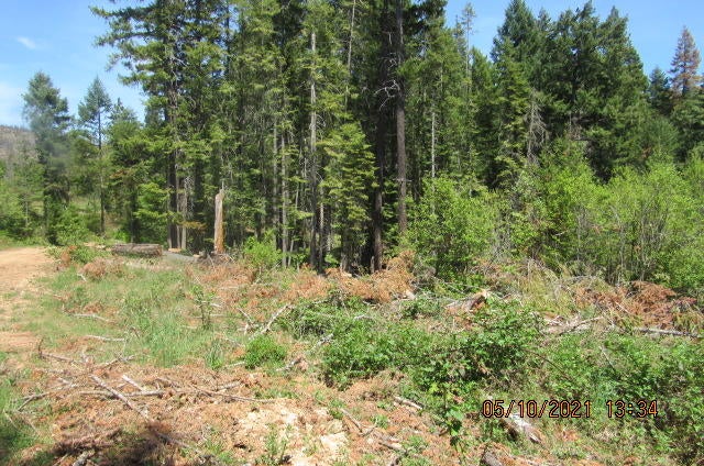 Flat Creek Rd Trail Trail, OR 97541 - Photo 8 of 16 IMG_0007