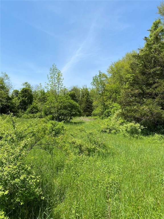 102 Plain Woods Road Foster, RI 02825 - Photo 1 of 8