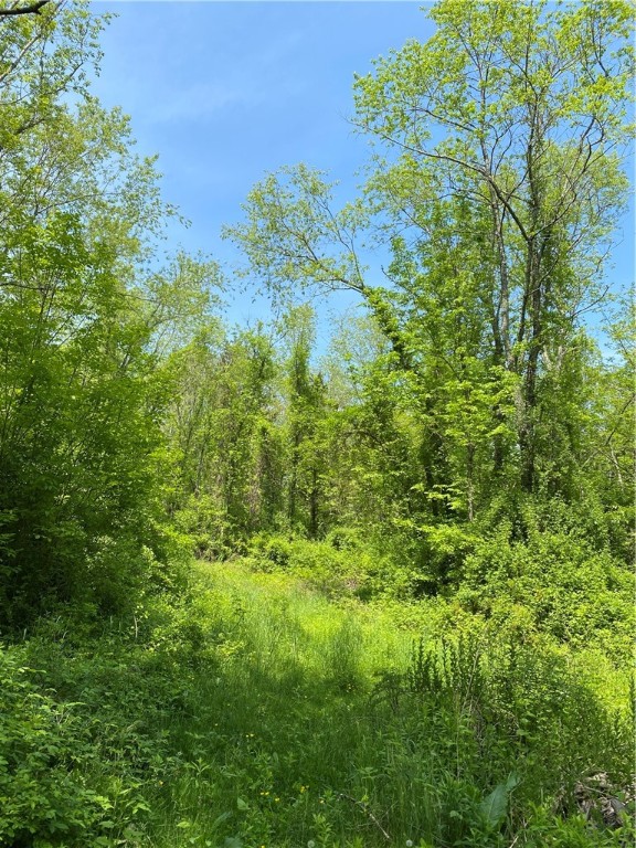 102 Plain Woods Road Foster, RI 02825 - Photo 3 of 8