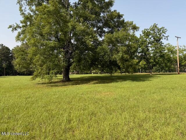 Flag Chapel Road Jackson, MS 39209 - Photo 1 of 1 IMG_0210
