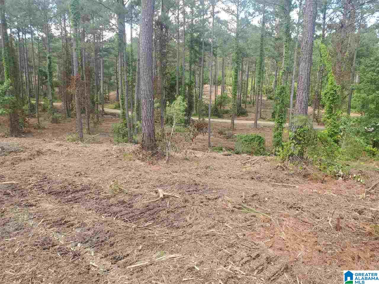 .2 Gould Road, Unit 3 Columbiana, AL 35051 - Photo 11 of 11