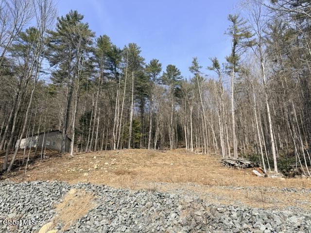 1397 North Shore Road Hadley, NY 12835 - Photo 14 of 19 IMG_7738