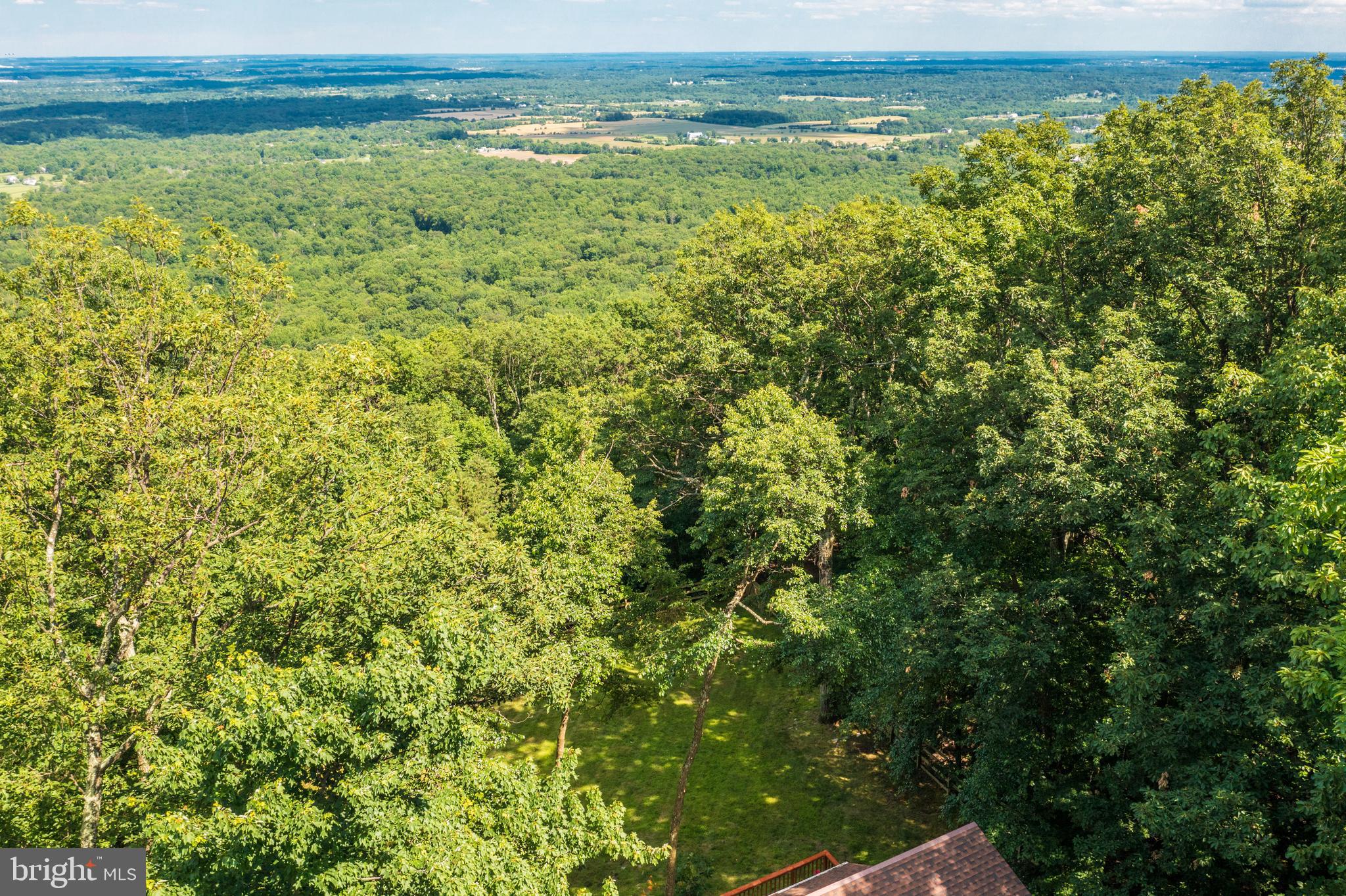1619 Summit Drive Haymarket, VA 20169 - Photo 53 of 62 a view of a field with an ocean view