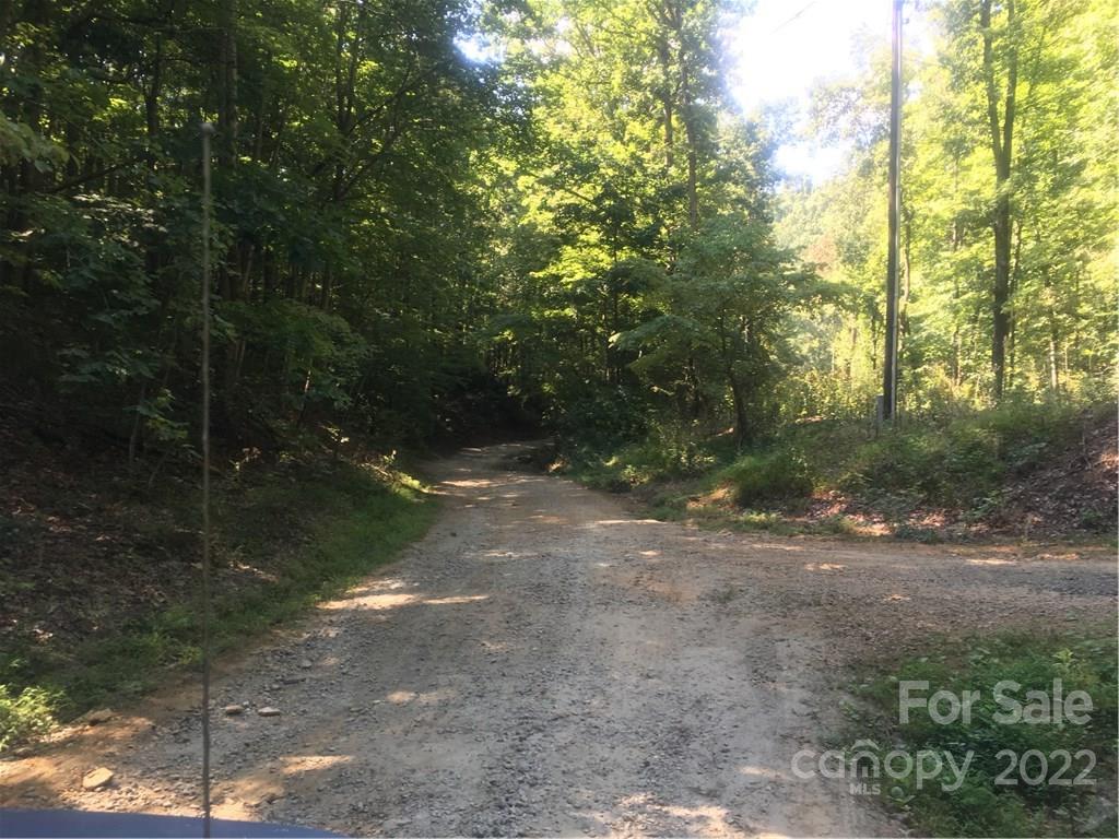 0 Early Road Saluda, NC 28773 - Photo 11 of 33 Gallery Image 11