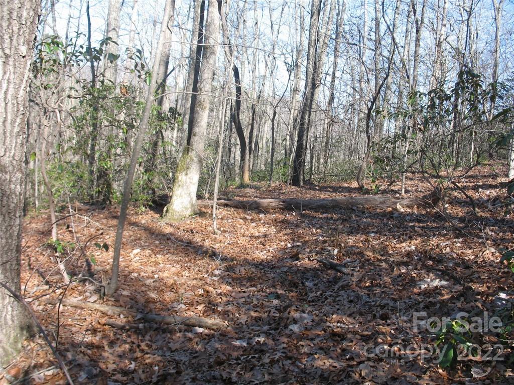 0 Early Road Saluda, NC 28773 - Photo 16 of 33 Gallery Image 16