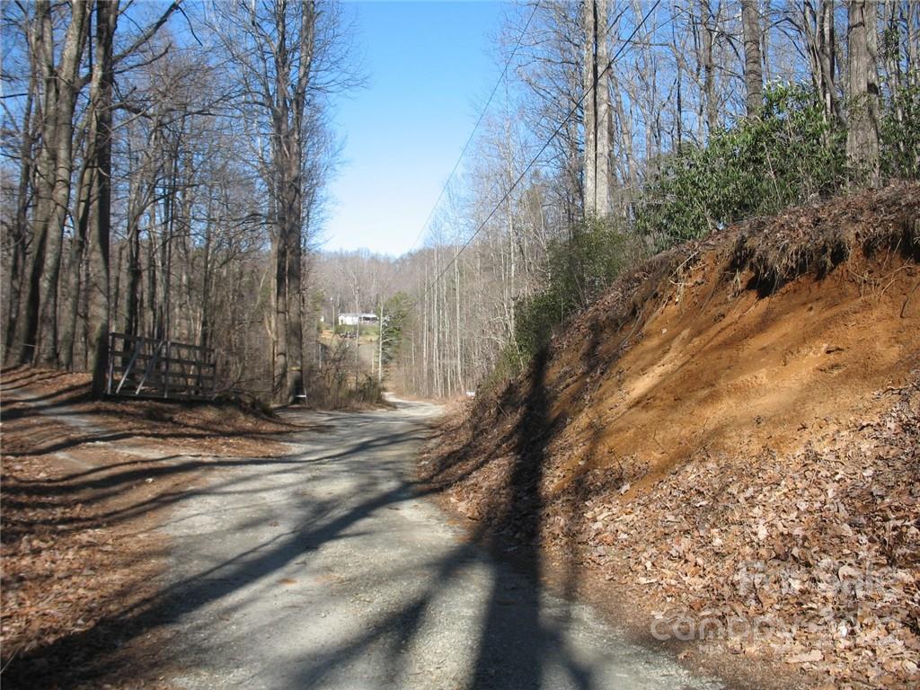 0 Early Road Saluda, NC 28773 - Photo 3 of 33 Gallery Image 3