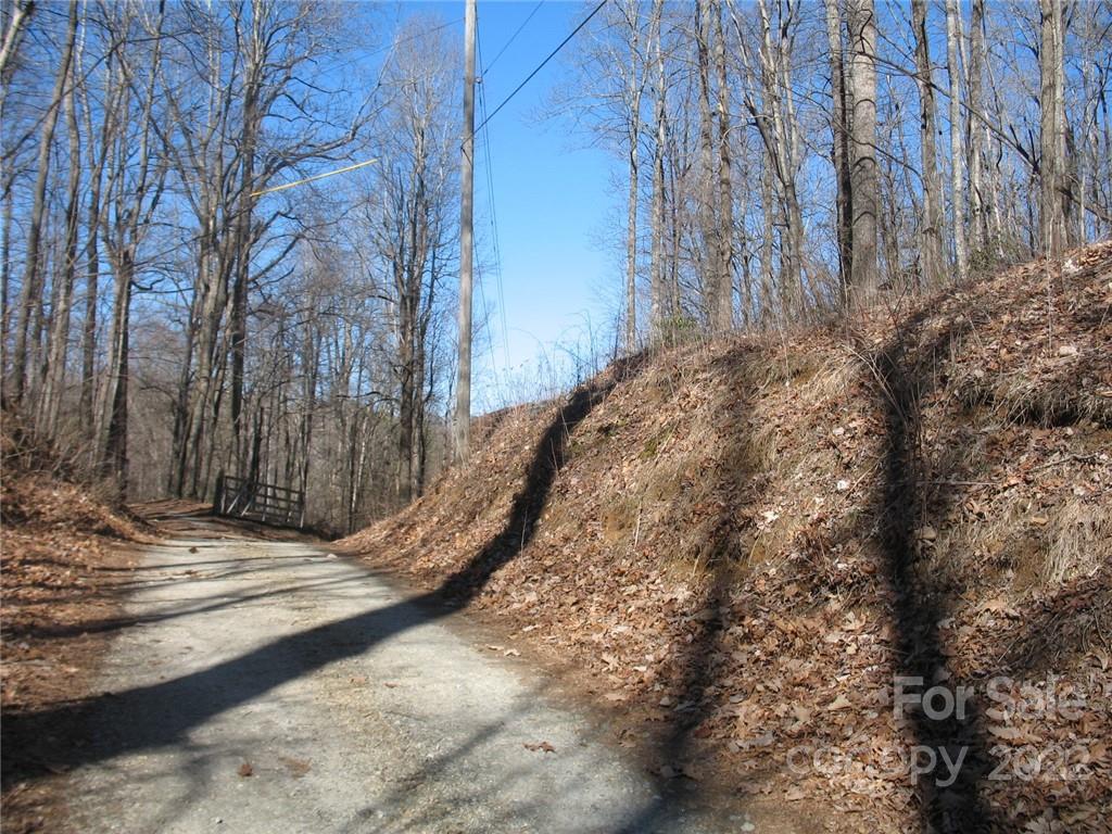 0 Early Road Saluda, NC 28773 - Photo 4 of 33 Gallery Image 4