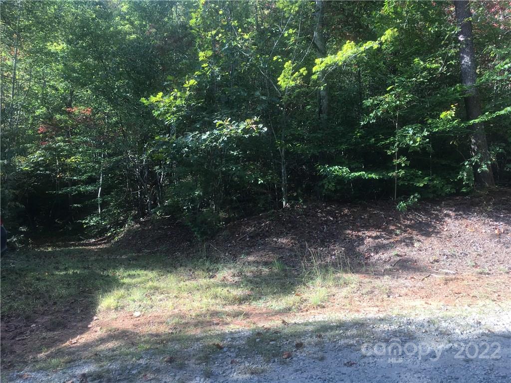 0 Early Road Saluda, NC 28773 - Photo 6 of 33 Gallery Image 6