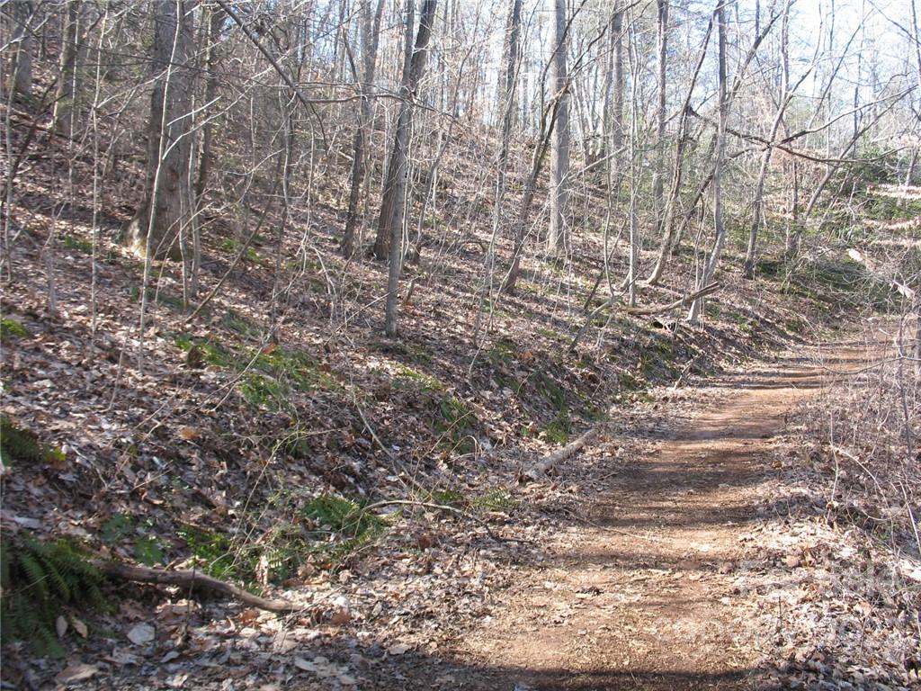 0 Early Road Saluda, NC 28773 - Photo 8 of 33 Gallery Image 8