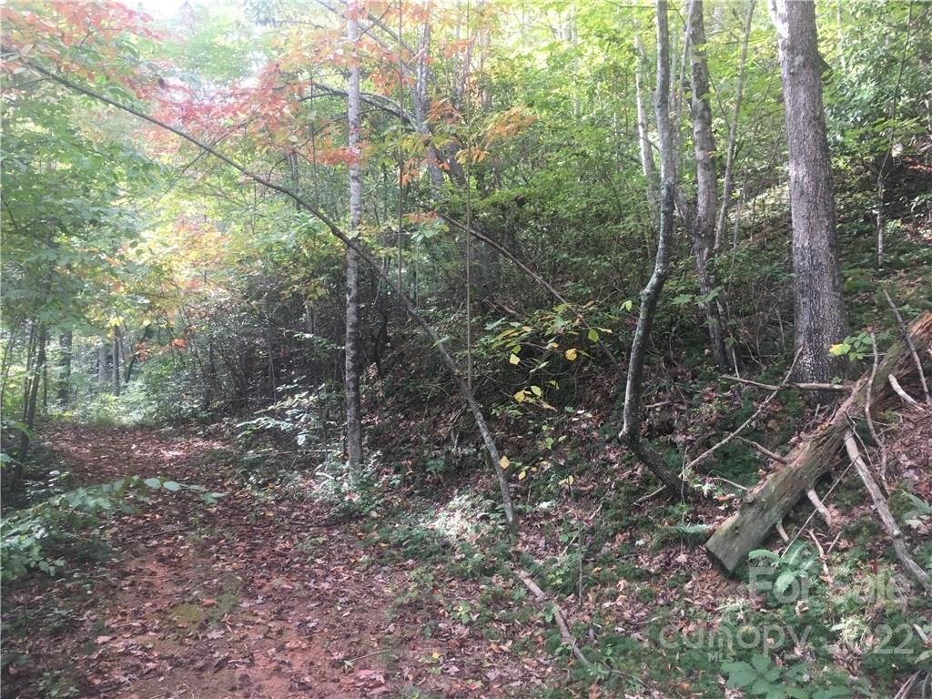 0 Early Road Saluda, NC 28773 - Photo 10 of 33 Gallery Image 10