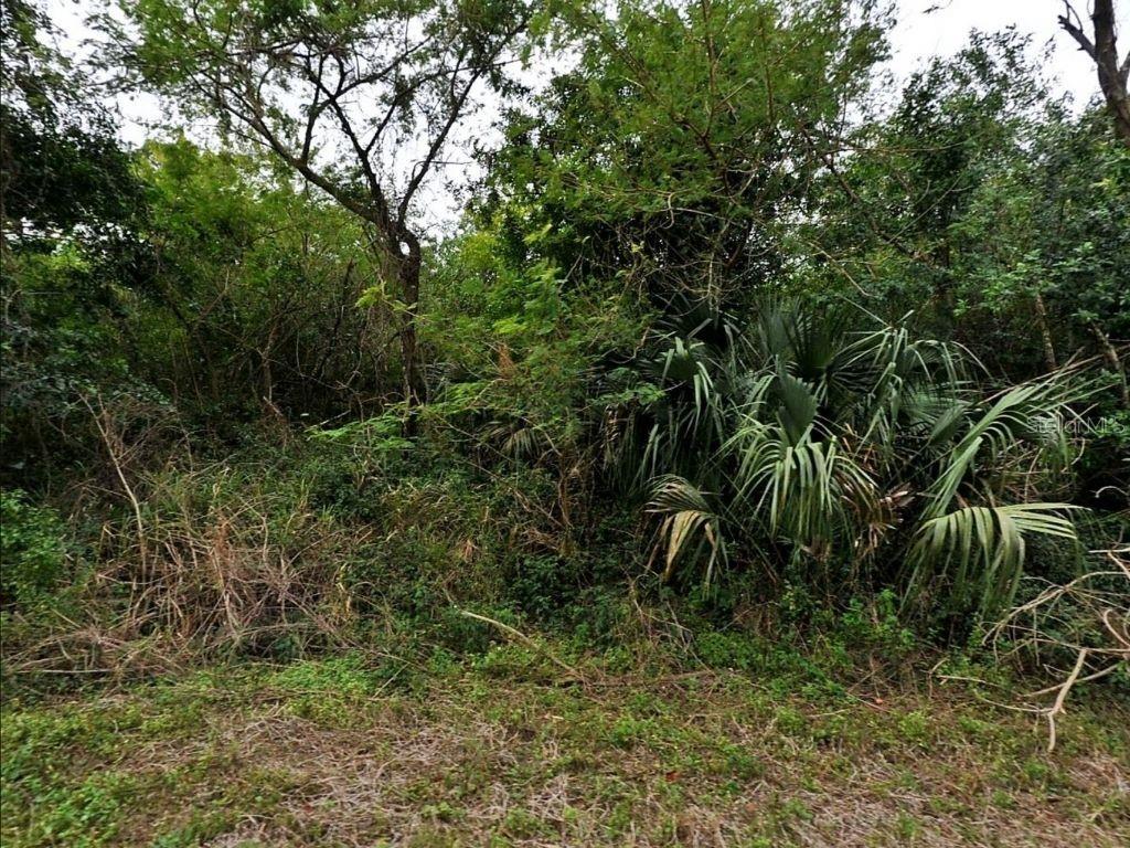 12 Caesar Road North Port, FL 34288 - Photo 3 of 3 Gallery Image 3