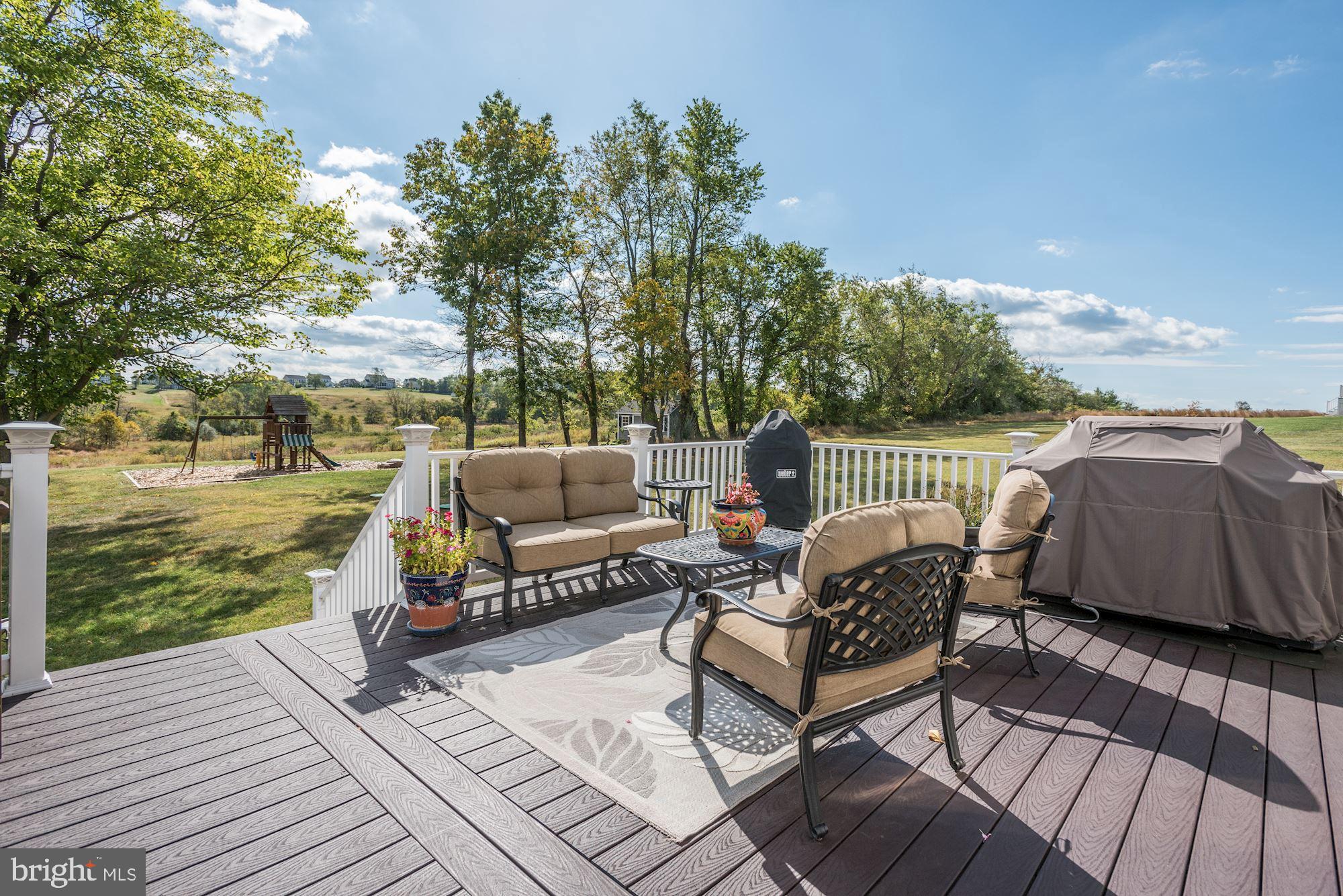 18311 Wild Raspberry Drive Purcellville, VA 20132 - Photo 24 of 38 Large Custom Deck