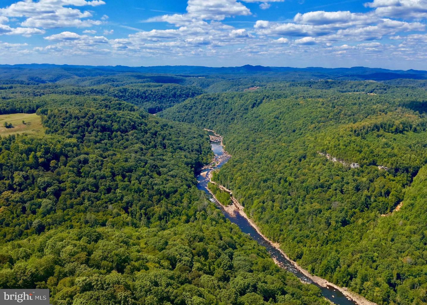 Lot 14 Gauley Ridge Rd Mount Mount Nebo, WV 26679 - Photo 2 of 4 a view of a lush green forest with a houses