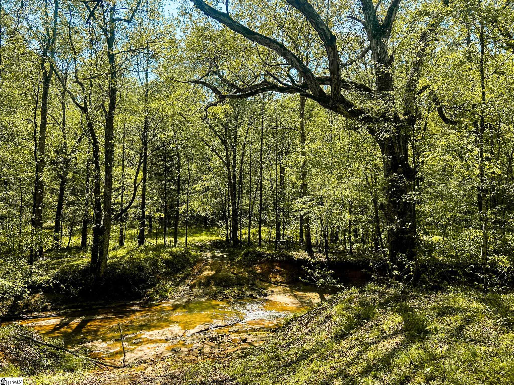 1249 State Rd S-44-134 Buffalo, SC 29321 - Photo 26 of 36