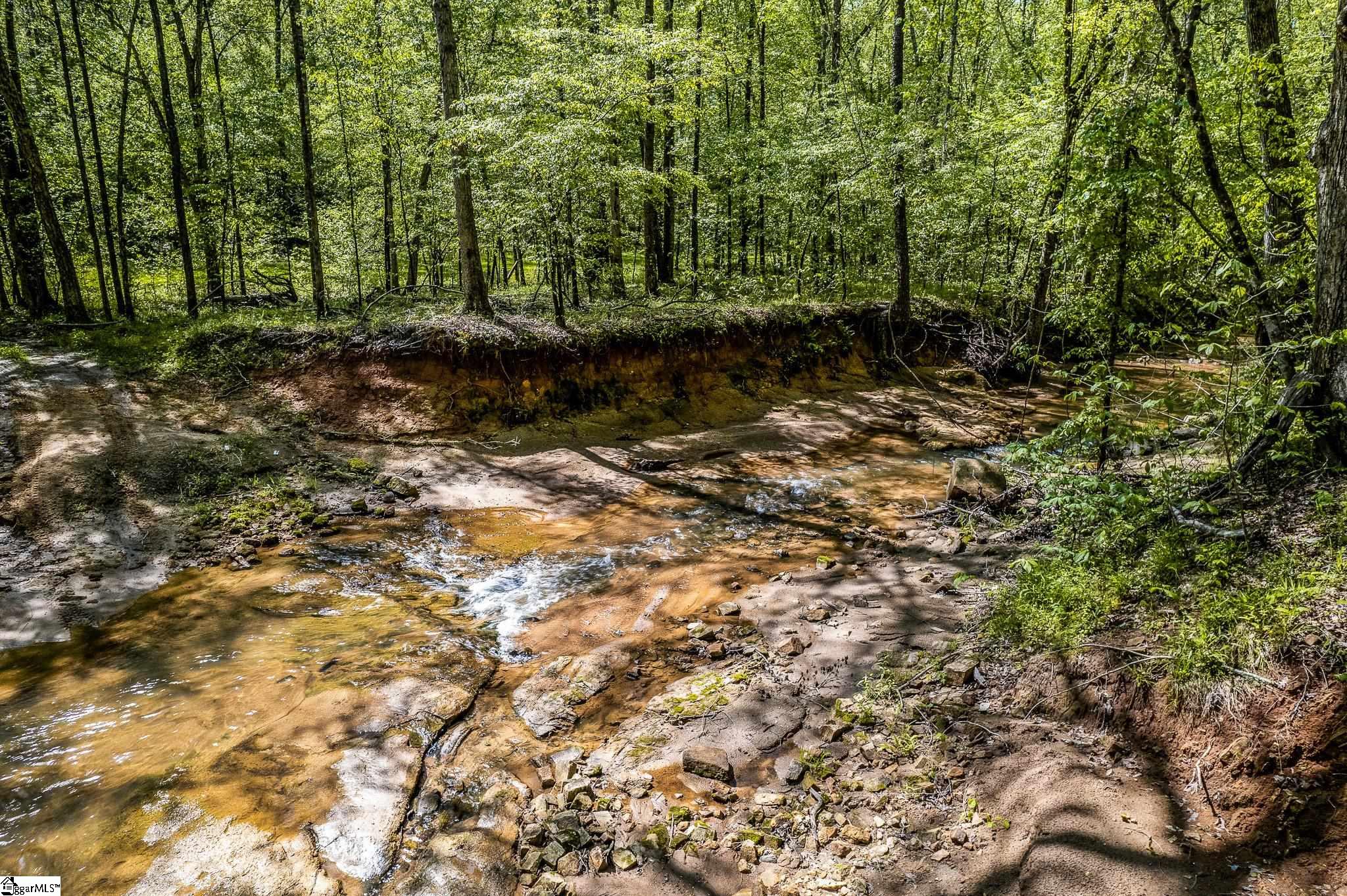 1249 State Rd S-44-134 Buffalo, SC 29321 - Photo 28 of 36