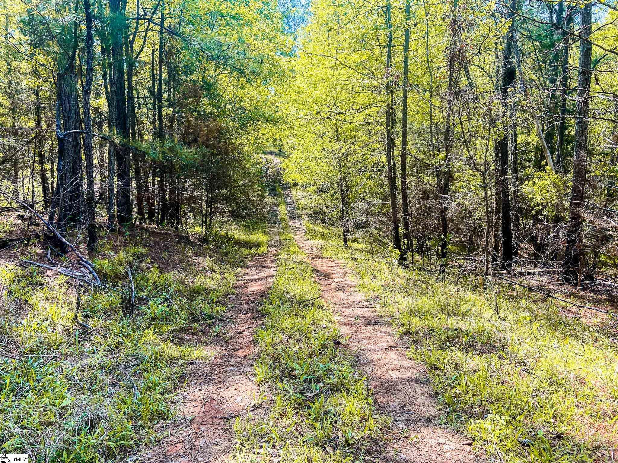 1249 State Rd S-44-134 Buffalo, SC 29321 - Photo 30 of 36