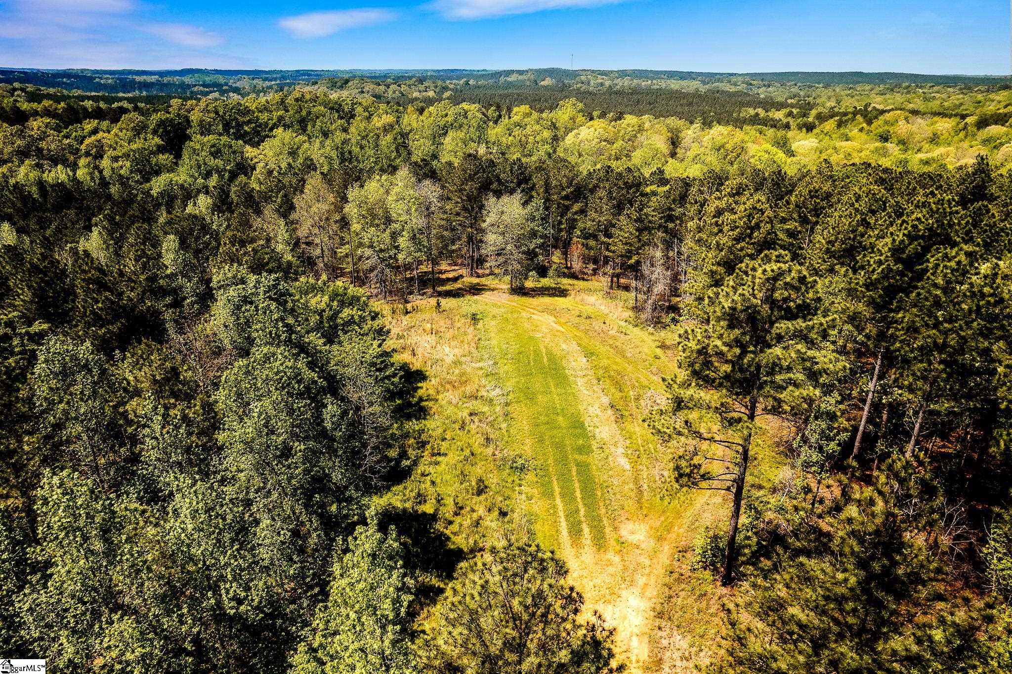 1249 State Rd S-44-134 Buffalo, SC 29321 - Photo 31 of 36