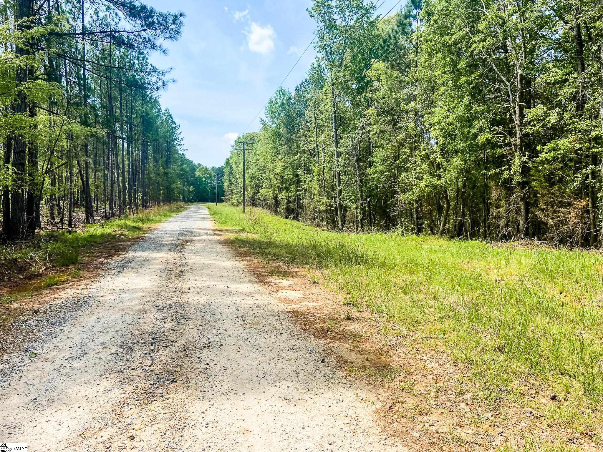 1249 State Rd S-44-134 Buffalo, SC 29321 - Photo 33 of 36