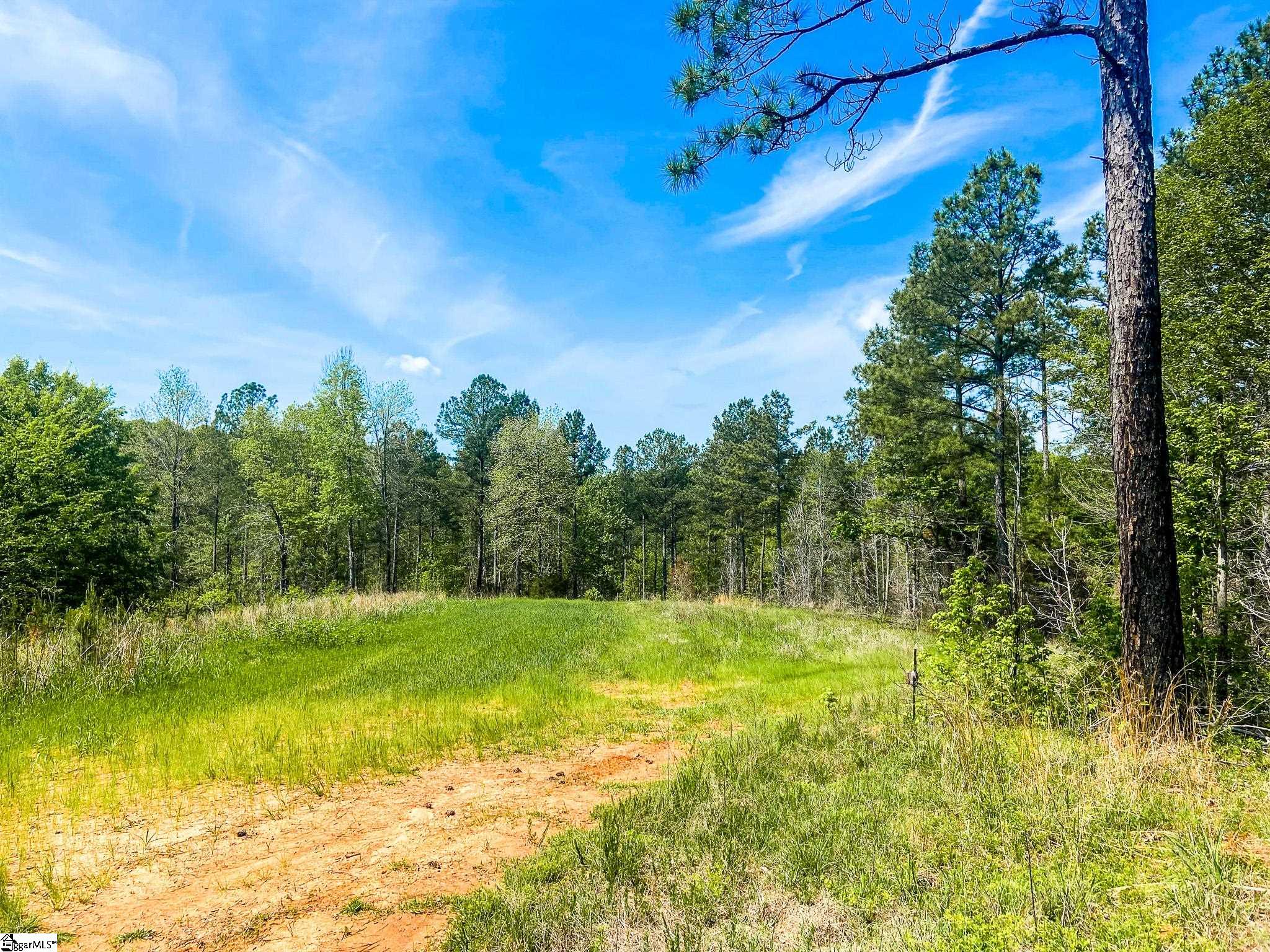 1249 State Rd S-44-134 Buffalo, SC 29321 - Photo 34 of 36