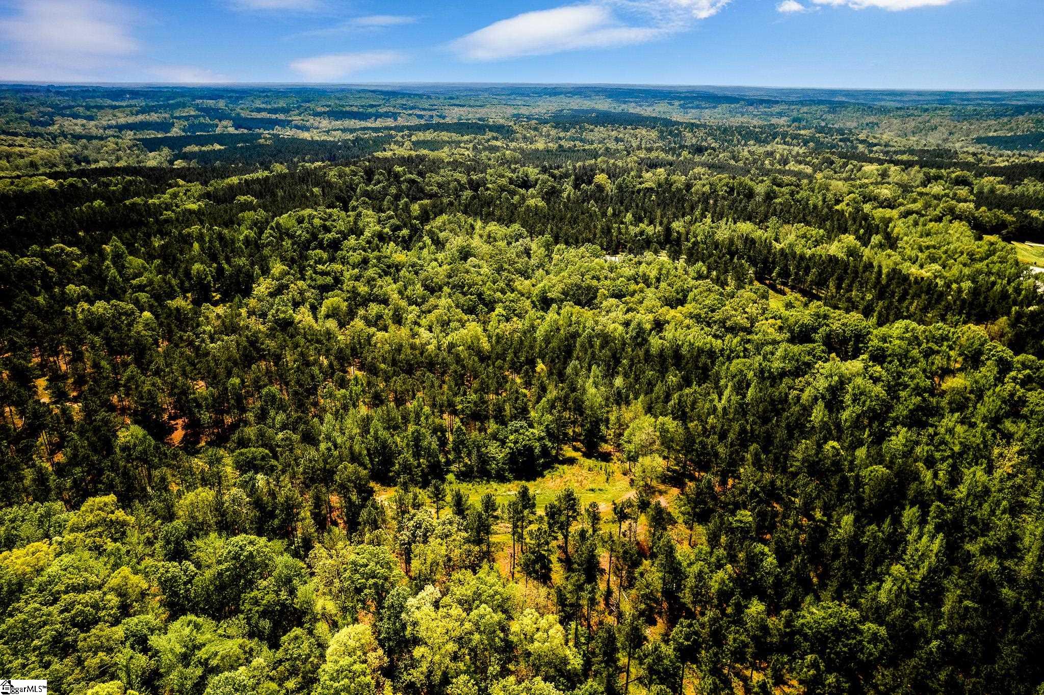 1249 State Rd S-44-134 Buffalo, SC 29321 - Photo 35 of 36