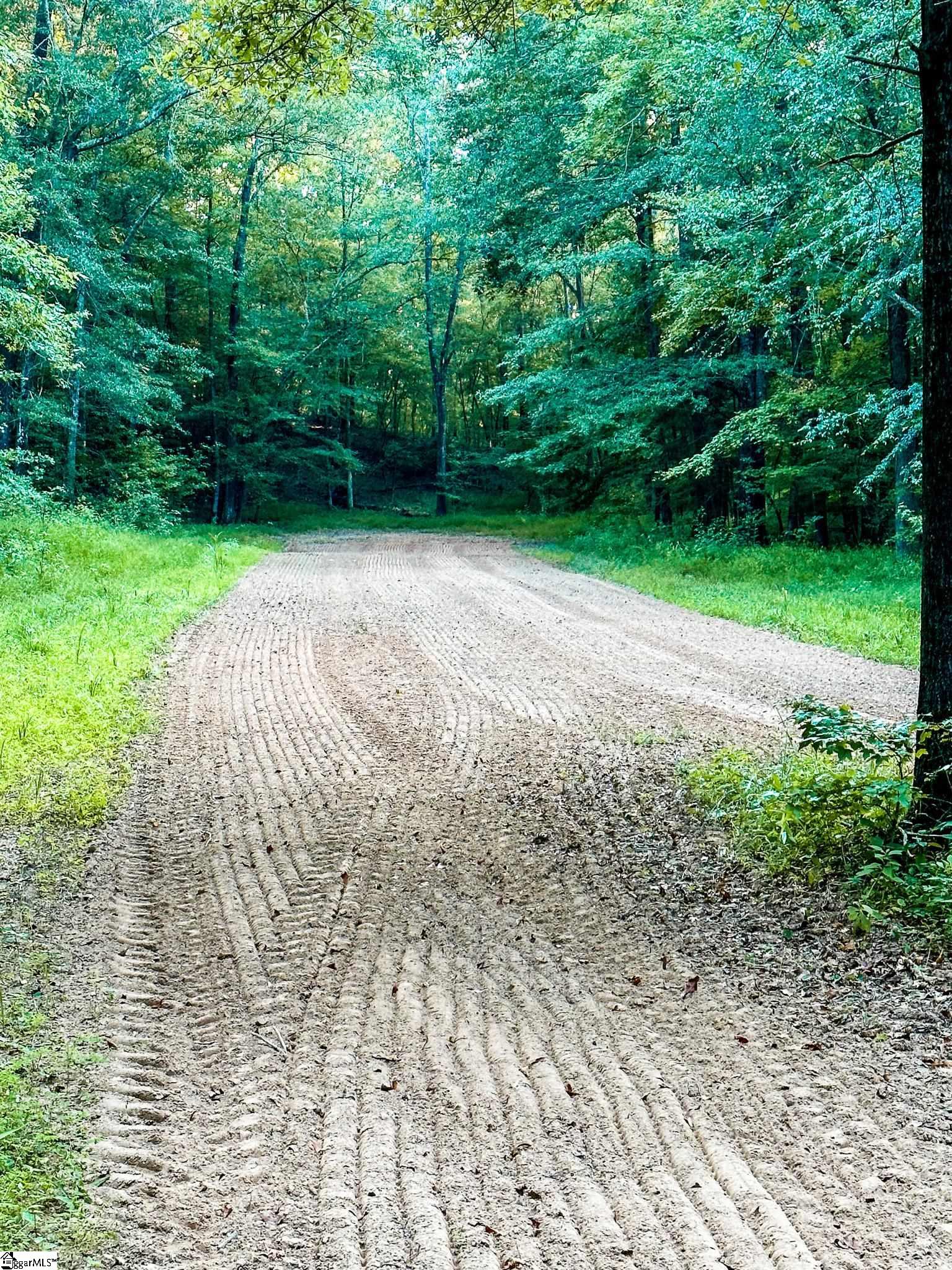 1249 State Rd S-44-134 Buffalo, SC 29321 - Photo 36 of 36