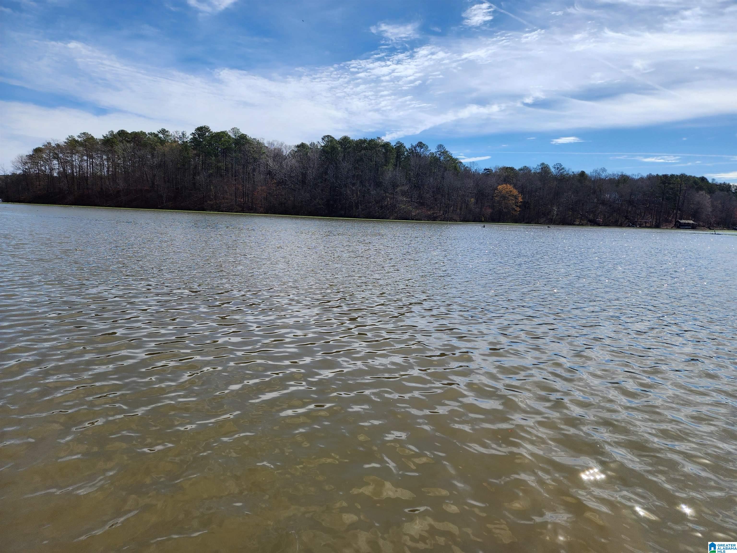 1410 White Oak Road Sylacauga, AL 35151 - Photo 10 of 41