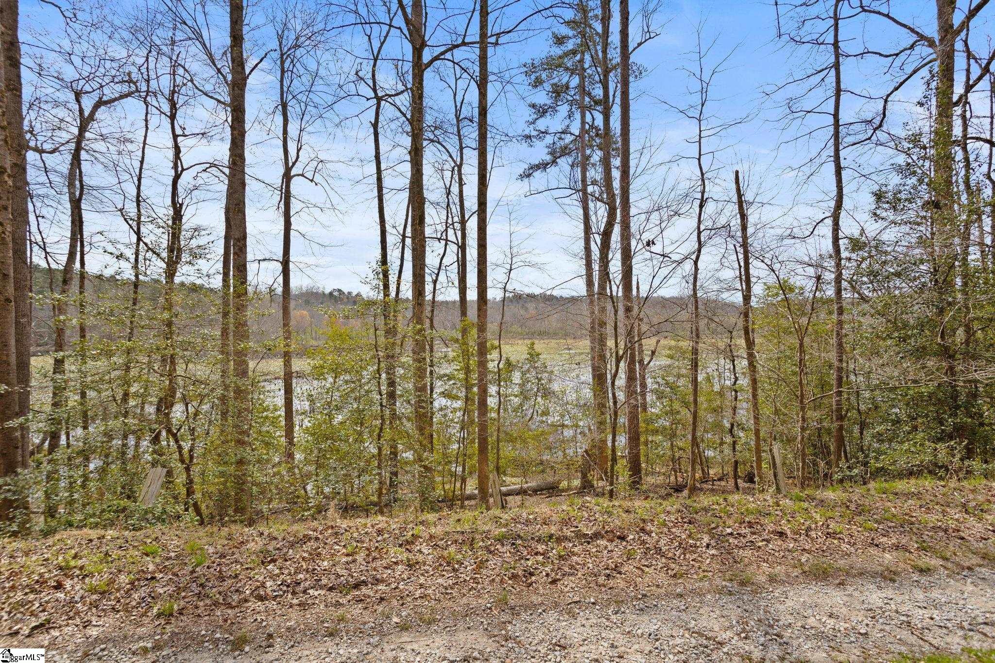 98 Blue Lake Road Greenville, SC 29617 - Photo 31 of 36 Gallery Image 31