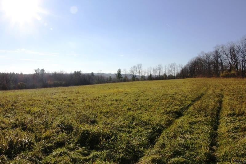 507 Argusville Road Sharon, NY 13459 - Photo 4 of 17 Photo 4