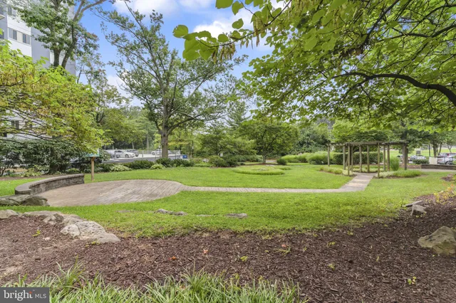 a view of a park with large trees
