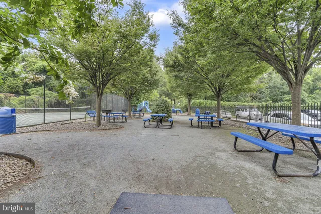 a view of a park with bench and trees