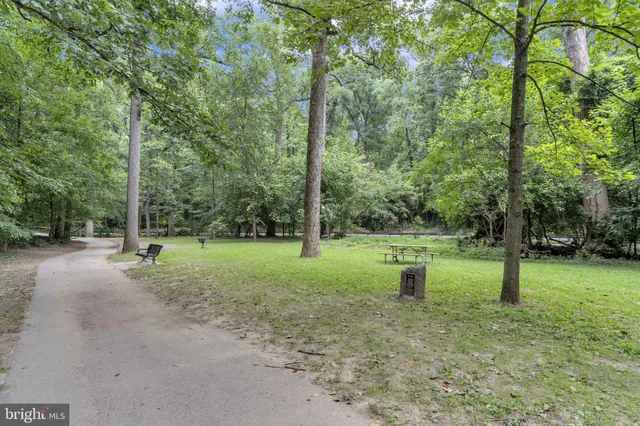 a view of a park with large trees