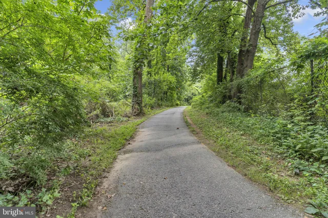 a view of a pathway both side of yard