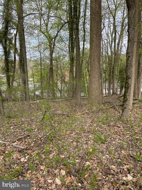 6112 Falls Road Baltimore, MD 21209 - Photo 12 of 12 land