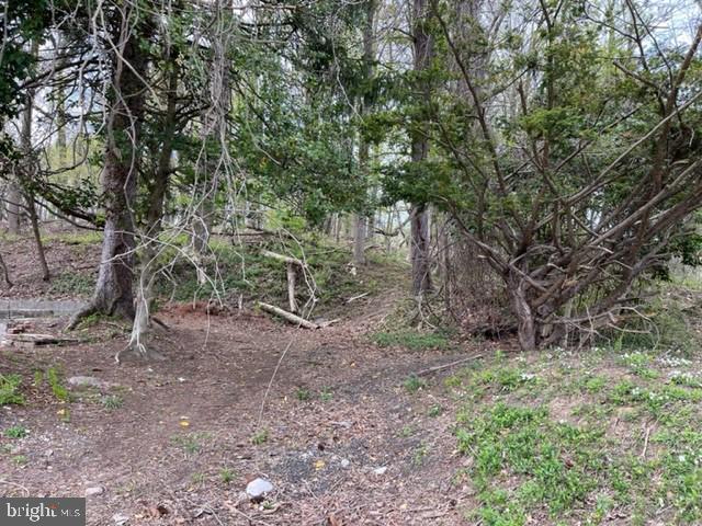 6112 Falls Road Baltimore, MD 21209 - Photo 4 of 12 land