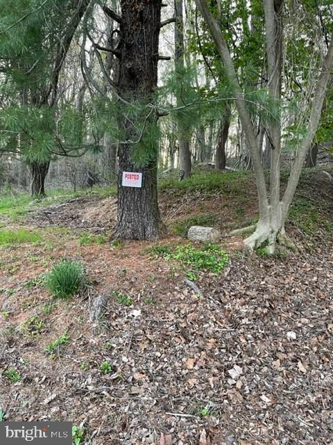 6112 Falls Road Baltimore, MD 21209 - Photo 5 of 12 land