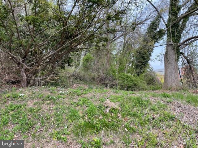 6112 Falls Road Baltimore, MD 21209 - Photo 6 of 12 land