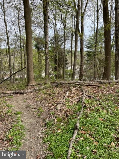 6112 Falls Road Baltimore, MD 21209 - Photo 9 of 12 land