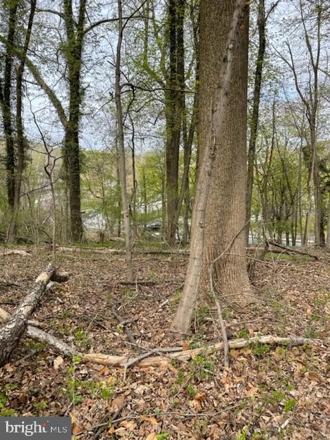 6112 Falls Road Baltimore, MD 21209 - Photo 10 of 12 land