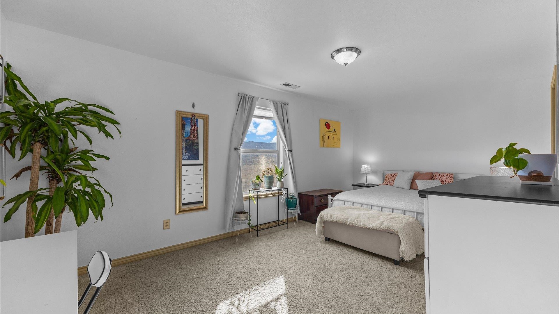 908 Kaley Street Fruita, CO 81521 - Photo 9 of 25 a bedroom with a bed and a potted plant