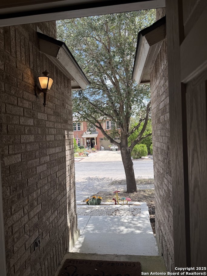 8418 Dusty Ridge Converse, TX 78109 - Photo 29 of 30