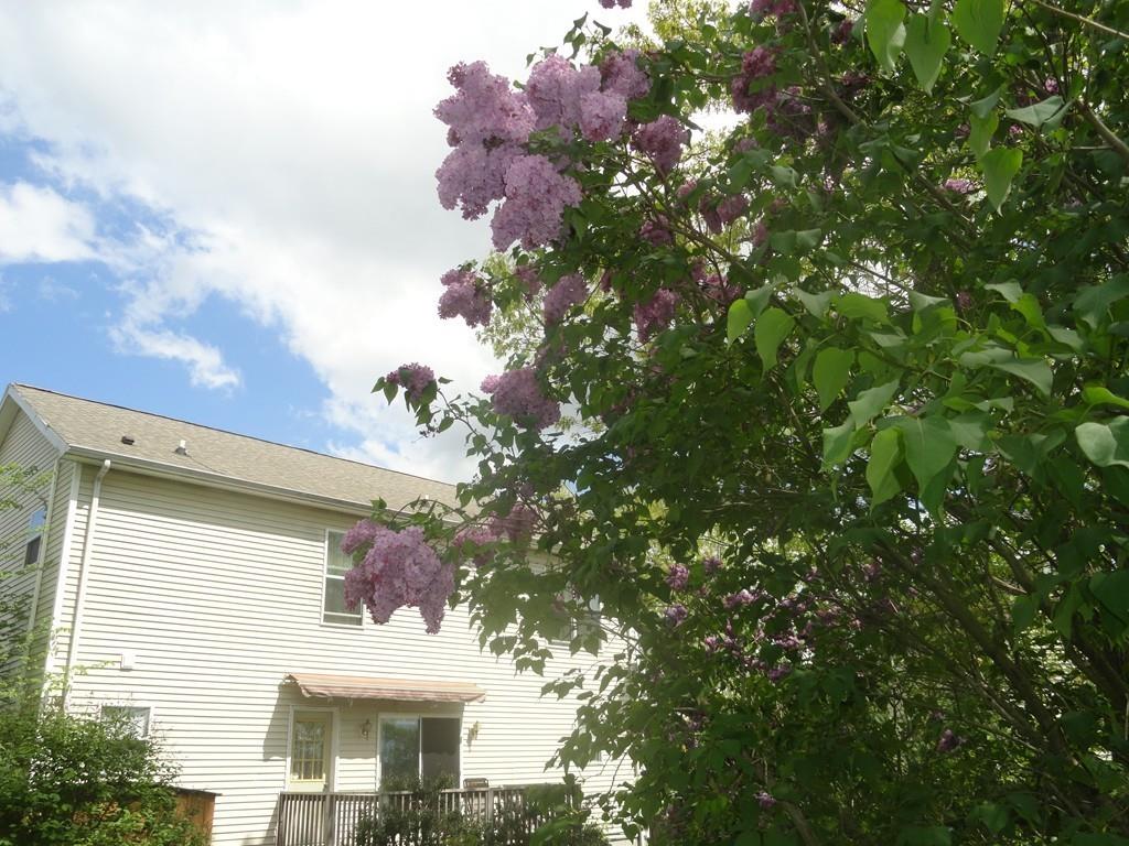 67 Overlook Road Boston, MA 02132 - Photo 21 of 23 Gallery Image 21