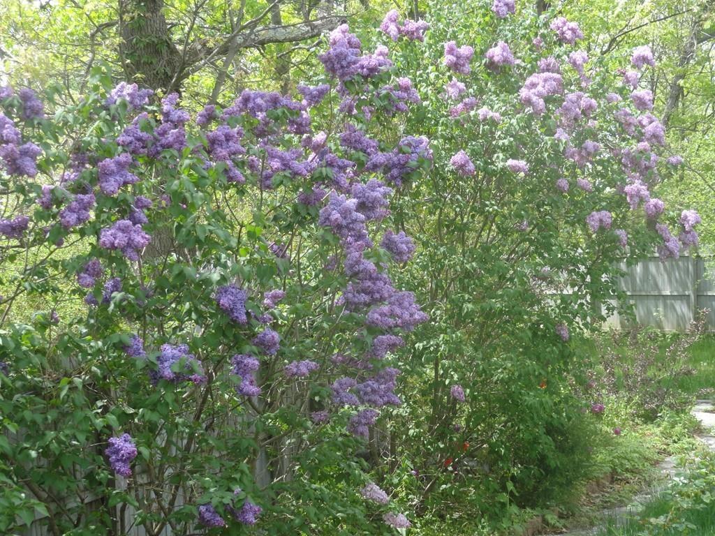 67 Overlook Road Boston, MA 02132 - Photo 22 of 23 Gallery Image 22