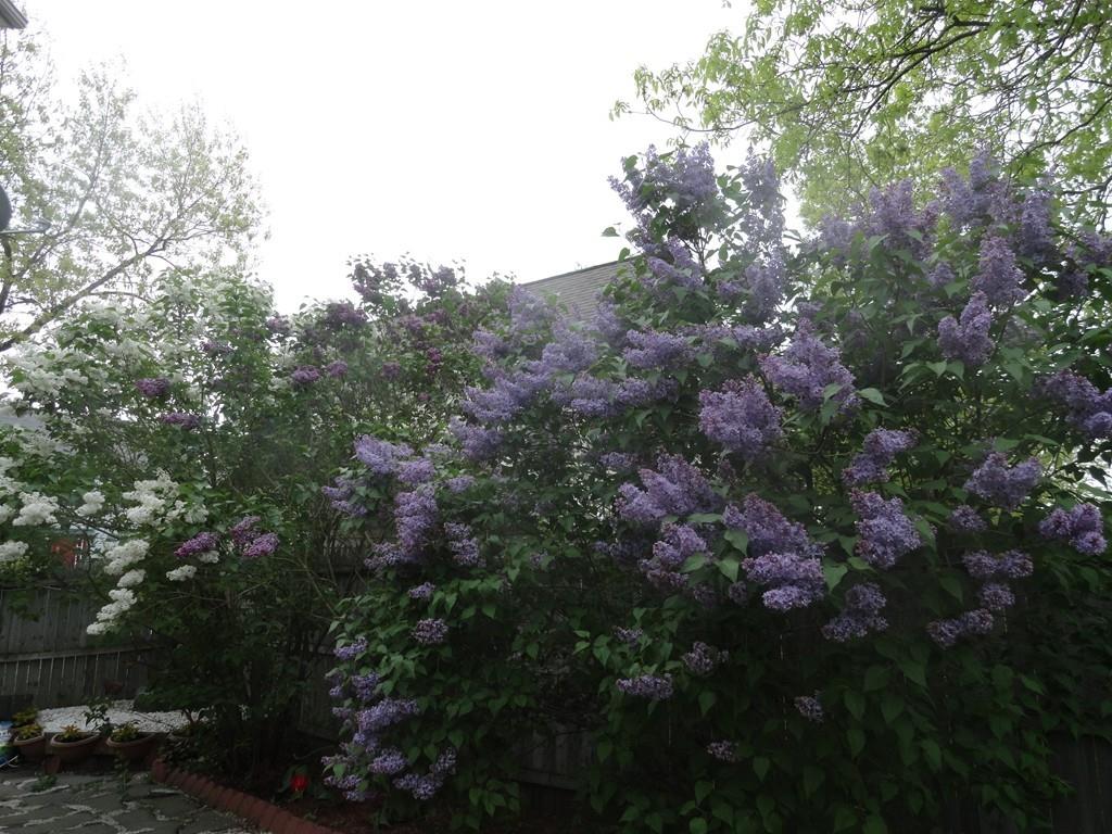 67 Overlook Road Boston, MA 02132 - Photo 23 of 23 Gallery Image 23