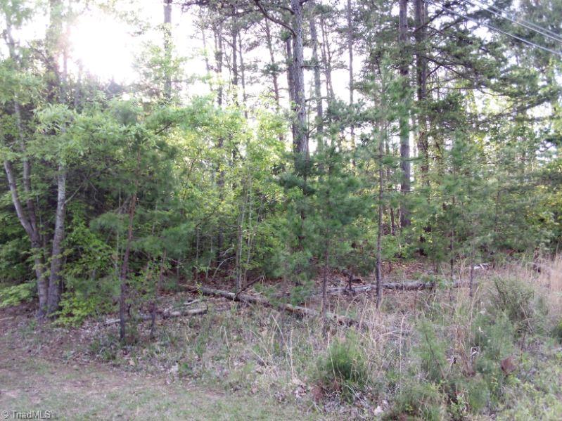 Tbd Fairview Church Road Trinity, NC 27370 - Photo 3 of 6