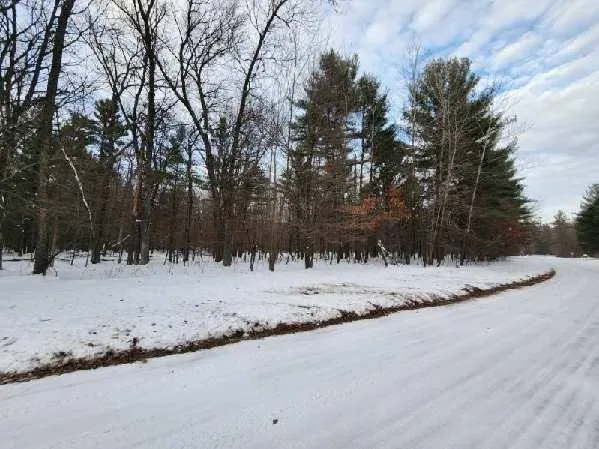 $95,000 | L29 South Badger, Arkdale, WI 54613