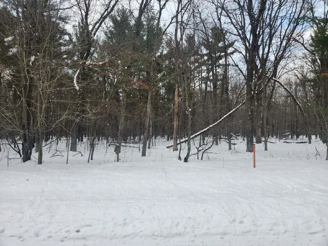 $95,000 | L29 South Badger, Arkdale, WI 54613