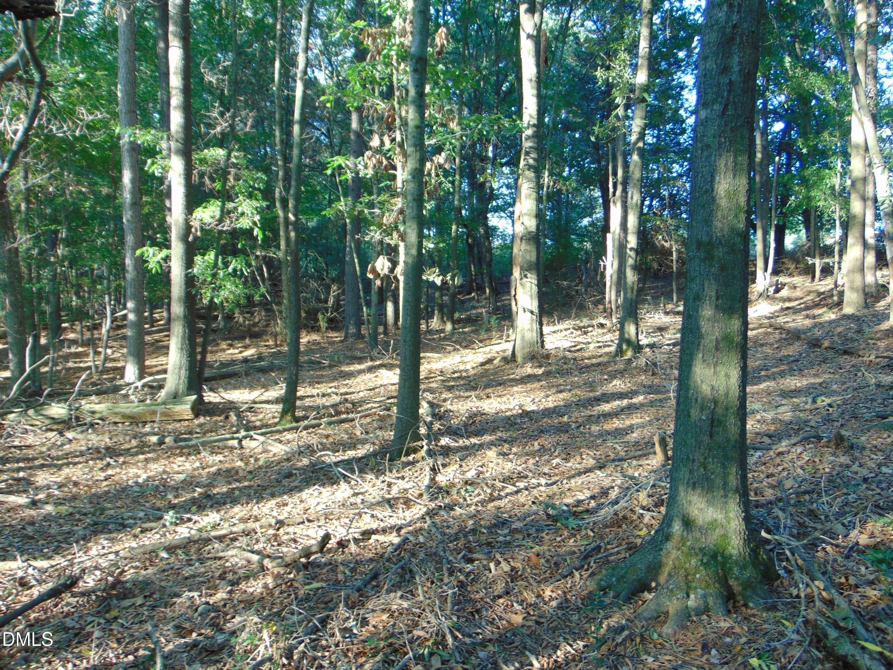 0 County Home Road Blanch, NC 27212 - Photo 14 of 14 DSC01672