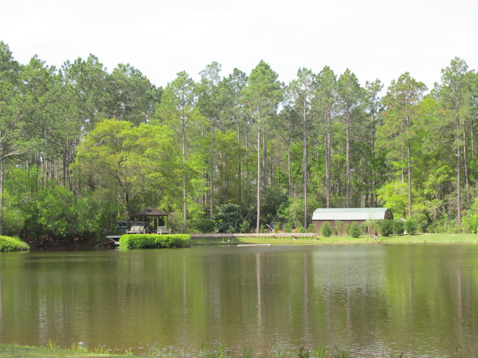 20-ac Fox Hill Road DeFuniak Springs, FL 32433 - Photo 1 of 12 One of a kind