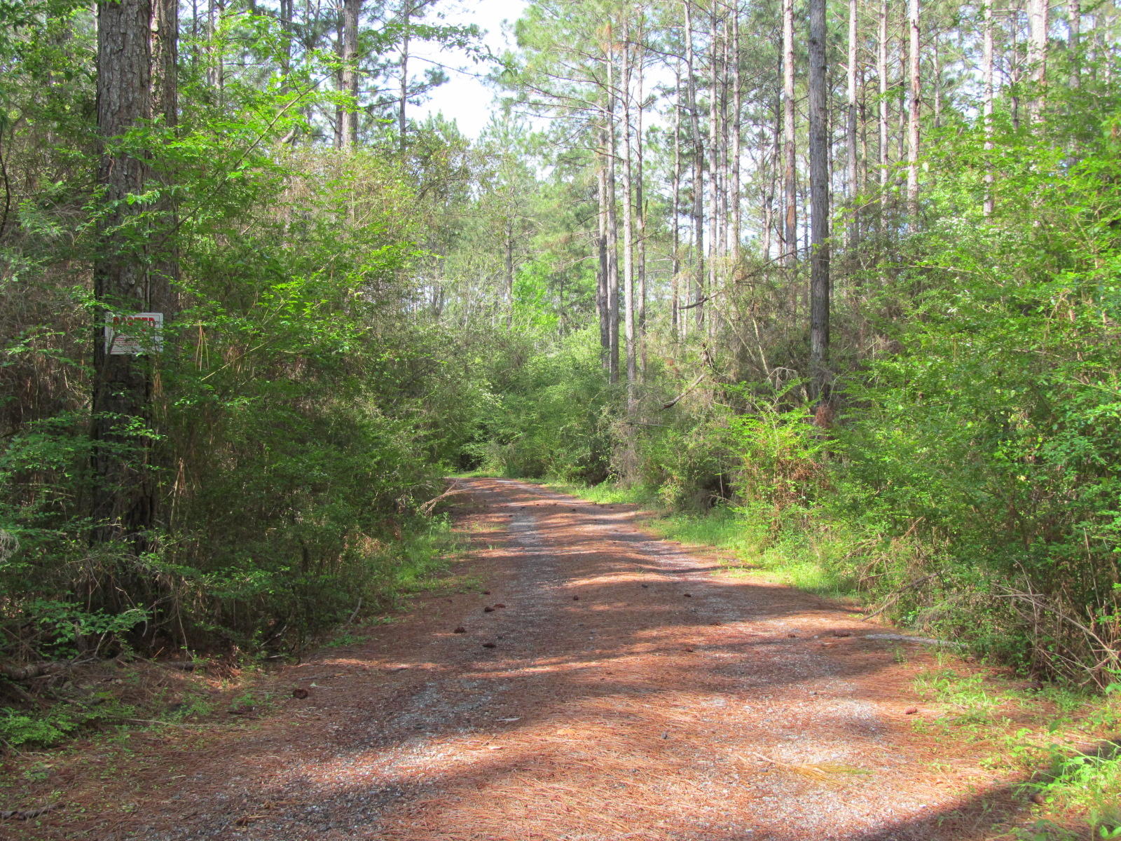 20-ac Fox Hill Road DeFuniak Springs, FL 32433 - Photo 11 of 12 Crushed asphalt drive